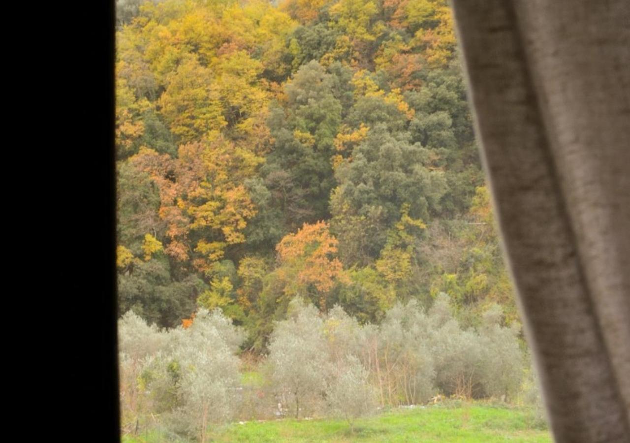 לינה וארוחת בוקר Montalto Ligure Il Cappellaio Matto מראה חיצוני תמונה